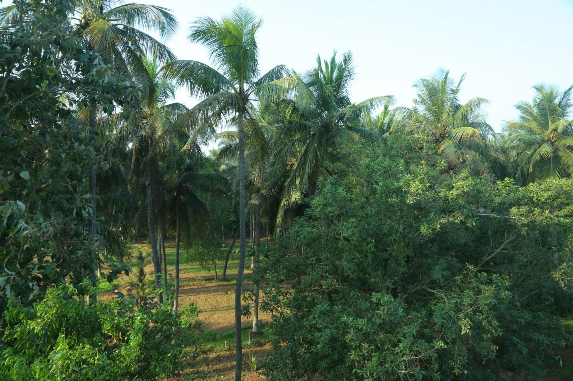 Kuilapalayam Misty Ocean - A Bergamont Group Of Hotel מראה חיצוני תמונה